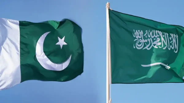 سعودی عرب وژن 2030 نوکریاں
